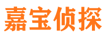 阜城侦探公司